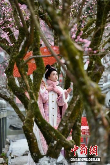 1��20�գ��������ݣ��ο���ǧ���ɲ������÷��������Ӱ����������� ������ ��