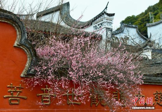 1��20�գ��������ݣ�ǧ���ɲ������÷����֦����������� ������ ��