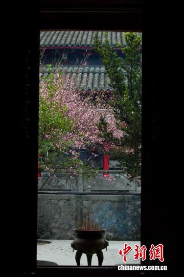 1��20�գ��������ݣ�ǧ���ɲ������÷����֦����������� ������ ��