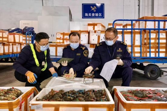 º£¹Ø¿ª±Ù½ø¿ÚÉúÏÊ¡°ÂÌɫͨµÀ¡±Ñé·Å½ø¿Ú»îÇàз º£¹Ø¿ª±Ù½ø¿ÚÉúÏÊ¡°ÂÌɫͨµÀ¡±Ñé·Å½ø¿Ú»îÇàз