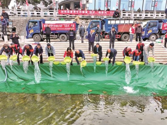 霍童镇霍溪渔港码头增殖放流现场 霍童镇霍溪渔港码头增殖放流现场