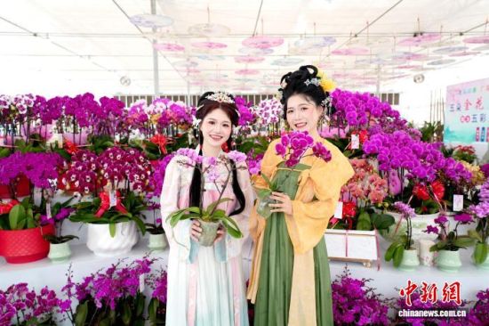 游客挑选心仪的蝴蝶兰笑开颜。黄秋萍摄 游客挑选心仪的蝴蝶兰笑开颜。黄秋萍摄