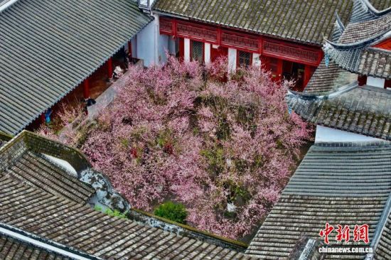 1��30�գ���������¹��Ȼ��Ƶ�÷����(���˻���Ƭ)��������� ������ ��