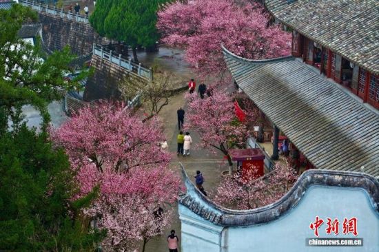 1��30�գ��ο�����������÷���档(���˻���Ƭ)��������� ������ ��