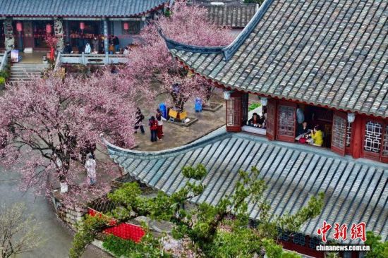 1��30�գ��ο��������ºȲ���÷��(���˻���Ƭ)��������� ������ ��