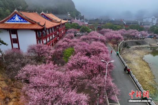 1��30�գ�����������÷��ӭ��ʢ���ڡ����������������ݽ�������ɽ��ǧ���ɲ�������ڣ�600�����÷����÷����÷������÷������÷�ȴε����ţ�������ѹ����ڣ���������������ο�ǰ����÷��(���˻���Ƭ)��������� ������ ��