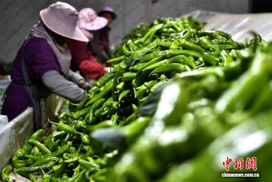 ͼΪ��������ֲ���طּ�⽷����������� �ű� ��