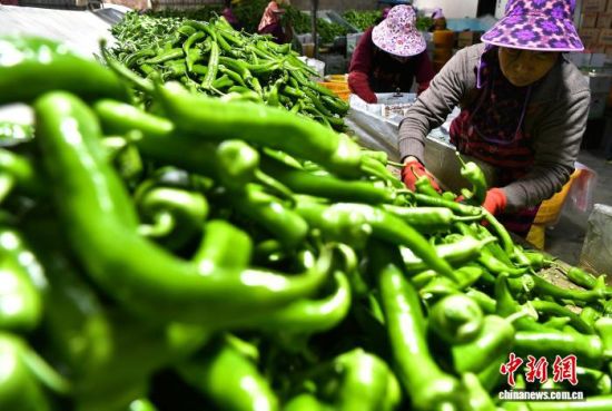 ͼΪ��������ֲ���طּ�⽷����������� �ű� ��