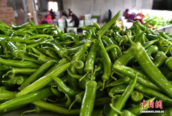 ͼΪ��ֲ���ظղ�ժ�ȴ��ּ�ļ⽷����������� �ű� ��