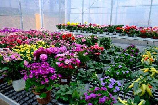 �������ж���л���Э������ݡ�