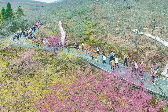 ѡ��;��������ɽ��԰��ǧĶ��԰��·����ӣ�����ӳ�������� ��