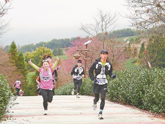 ɽ��ӣ���£�ѡ�����ڻ�����ˮ�� ����� ��