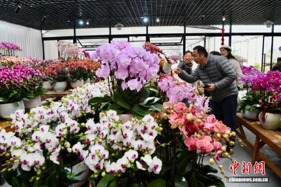 2��1�գ������ڸ������ٻ���԰�´����й����������� ��������� ������ �� 