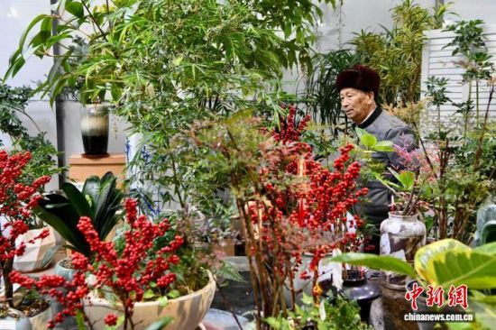 2��1�գ������ڸ������ٻ���԰�´����й����������� ��������� ������ �� 