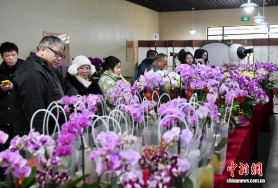 2��1�գ������ڸ������ٻ���԰�´����й����������� ��������� ������ �� 