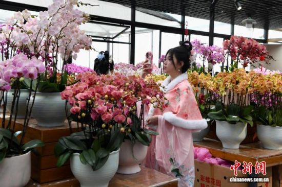 2��1�գ������ڸ������ٻ���԰�´����������������� ��������� ������ ��