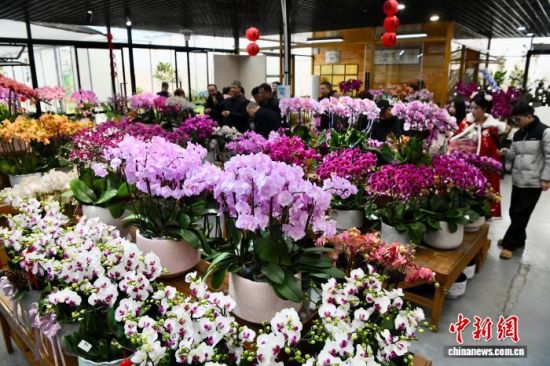 2��1�գ������ڸ������ٻ���԰�´����й����������� ��������� ������ ��