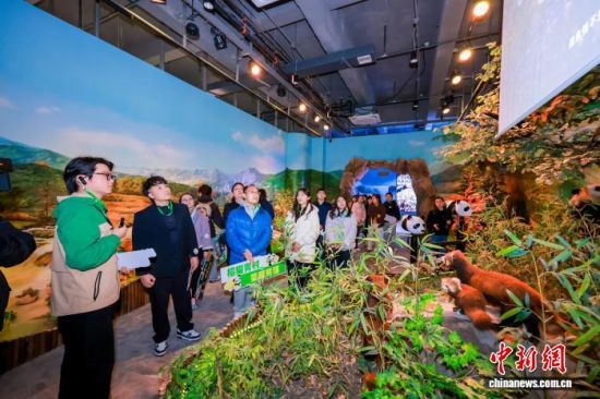 1��27�գ��������깲ͬ�߽�������è���磬�˽���è���й�֪ʶ��(�������������ϻṩͼ)