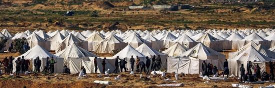 1��17�գ���ɳ�ش��в�Ϊ����ʧ�����ṩס����Ӫ�ء�ͼ/�Ӿ��й�