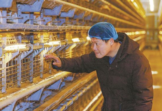 �����ڲ쿴��Ѽ�����������