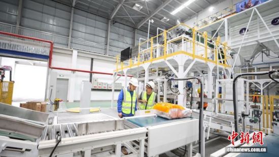 图为种子自动分装设备。 陈震 摄 图为种子自动分装设备。 陈震 摄