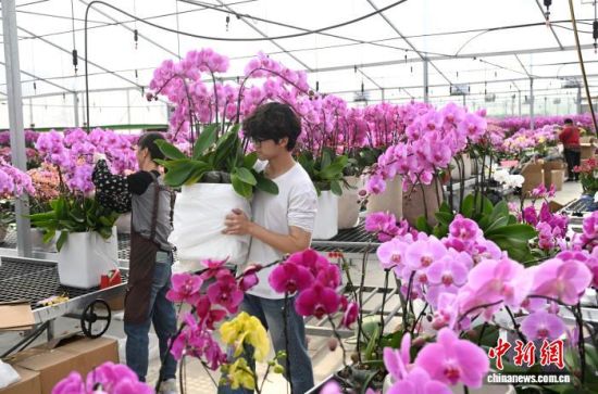 2��4�գ��������֣�����ɭ��԰���̻����޹�˾���Ҵ����ڣ�������Ա�����к����������衢��������ƴ��ڶ�������������� ���� ��