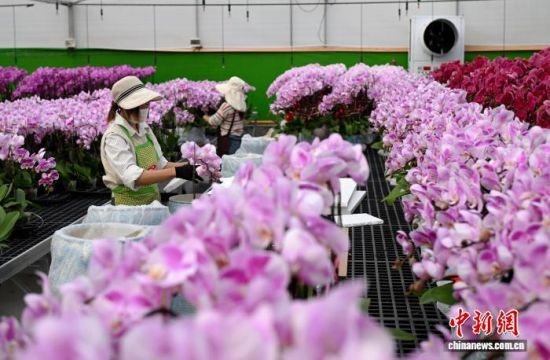 2��4�գ��������֣�����ɭ��԰���̻����޹�˾���Ҵ����ڣ�������Ա�����к����������衢��������ƴ��ڶ�������������� ���� ��