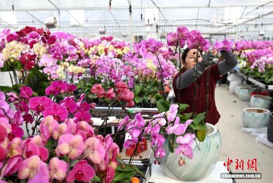 2��4�գ��������֣�����ɭ��԰���̻����޹�˾���Ҵ����ڣ�������Ա�����к����������衢��������ƴ��ڶ�������������� ���� ��