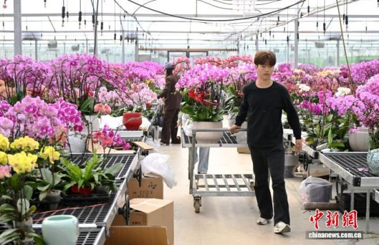 2��4�գ��������֣�����ɭ��԰���̻����޹�˾���Ҵ����ڣ�������Ա�����к����������衢��������ƴ��ڶ�������������� ���� ��