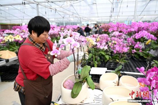 2��4�գ��������֣�����ɭ��԰���̻����޹�˾���Ҵ����ڣ�������Ա�����к����������衢��������ƴ��ڶ�������������� ���� ��