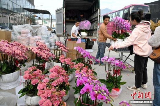 2��4�գ��������֣�����ɭ��԰���̻����޹�˾���Ҵ����ڣ�������Ա�����к����������衢��������ƴ��ڶ�������������� ���� ��