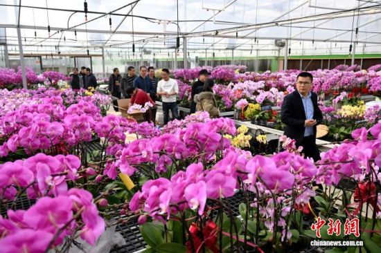 2��4�գ��������֣��˿�������ɭ��԰���̻����޹�˾���Ҵ����ڲιۡ���ѡ����������������� ���� ��