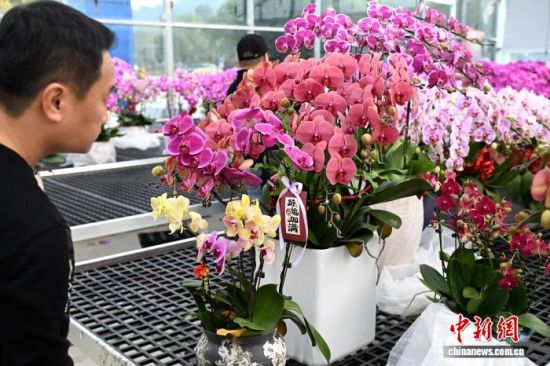 2��4�գ��������֣��˿�������ɭ��԰���̻����޹�˾���Ҵ����ڲιۡ���ѡ����������������� ���� ��