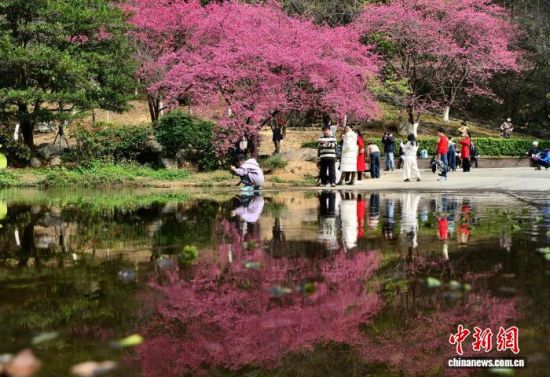 2��3�գ�����ֲ��԰ӣ��԰��ӣ��ʢ������ɫ�续�������ڶ������ο�ǰ�����͡���������� �ű� ��