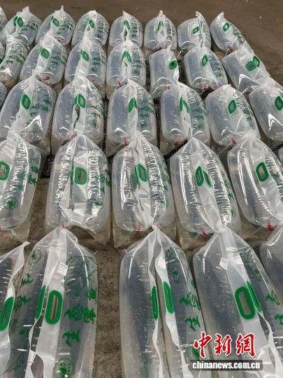 ��Ʒ��Զ��ȫ�����ء��ܷ��� ��ͼ