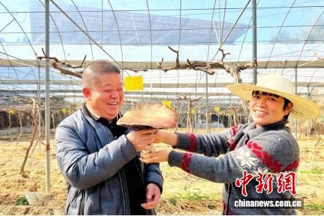 ������Ա�ͽ�Դ��һ��æ�Ų���һ�������̻���Ĵ���ǹ������������ŷ��յ�ϲ�á���������ý�����Ĺ�ͼ