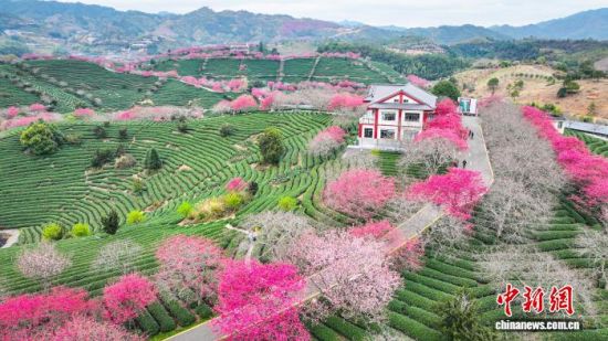 2��7�գ�����λ�ڸ���������ƽ���������ӣ����԰������ ��