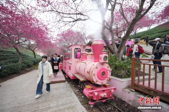 2��7�գ�����������ƽ�е�ʮ���ӣ���Ļ����ν�����ƽ��������Ļ�������ڶ��ο�ǰ����ӣ������ ��