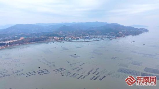 ������ҵæ����ΰ�� ��