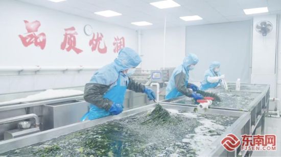 �ղ��յĺ����类�����ӹ����ӹ�����ΰ�� ��