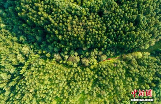 ͼΪɳ�ظ��Ź�ׯ�ֳ���(���˻���Ƭ)ɳ������ý�����Ĺ�ͼ