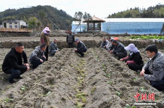 ͼΪ2��9�գ�������ũҵ�����ƹ�վվ�����߼�ũ��ʦ���Ƽ�����Ա��ع�����������Ұ����չ�㵥ʽ������ʽũ������������������ ������ ��