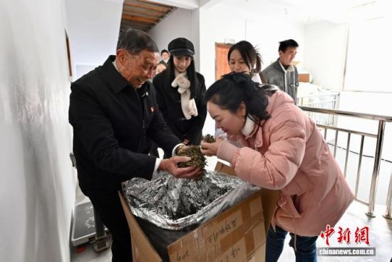 ͼΪ2��9�գ������Ѯ�ġ�ȫ���Ͷ�ģ����֣��½��ܴ������ڹ�ͬ�¸��Ĳ�Ҷ������������ ������ ��