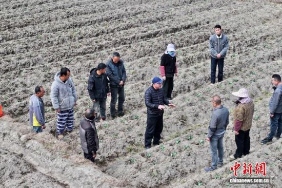 ͼΪ2��9�գ�������ũҵ�����ƹ�վվ�����߼�ũ��ʦ���Ƽ�����Ա��ع�����������Ұ����չ�㵥ʽ������ʽũ������������������ ������ ��