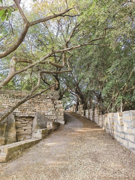 ��������ǽ��ַ ���ľ� ��