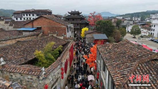 �����ƽ��������֯����ƽ��ͼ