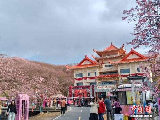 2ÔÂ23ÈÕ£¬Àµ·»Ó£»¨Ô°ÄÚÓÎÈËÈçÖ¯¡£À׳¯Á¼Éã 2ÔÂ23ÈÕ£¬Àµ·»Ó£»¨Ô°ÄÚÓÎÈËÈçÖ¯¡£À׳¯Á¼Éã