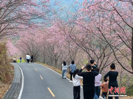 2ÔÂ23ÈÕ£¬ÓοÍÔÚÓ£»¨Ô°ÄÚÓÎÀÀ¡£À׳¯Á¼Éã 2ÔÂ23ÈÕ£¬ÓοÍÔÚÓ£»¨Ô°ÄÚÓÎÀÀ¡£À׳¯Á¼Éã