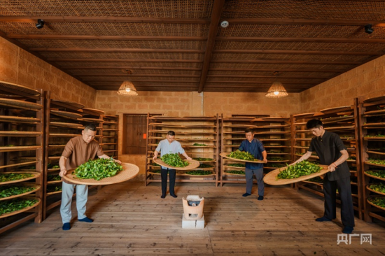 »ÆÊÏÈðȪ´«ÈËÕýÔÚÖÆ²è(Ñë¹ãÍø·¢ ÊÜ·ÃÕß¹©Í¼) »ÆÊÏÈðȪ´«ÈËÕýÔÚÖÆ²è(Ñë¹ãÍø·¢ ÊÜ·ÃÕß¹©Í¼)