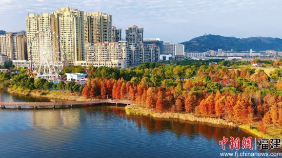 航拍宁德东湖景观。叶金秋 摄 航拍宁德东湖景观。叶金秋 摄